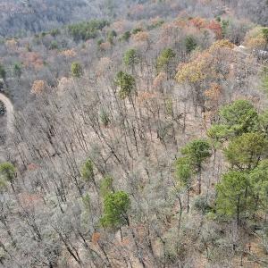 Photo #4 of SOLD property in Off Foley Road, Stuart, VA 6.3 acres