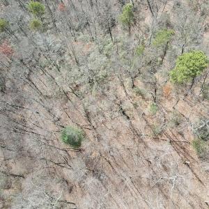Photo #5 of SOLD property in Off Foley Road, Stuart, VA 6.3 acres
