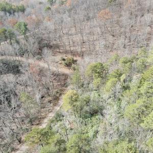 Photo #7 of SOLD property in Off Foley Road, Stuart, VA 6.3 acres