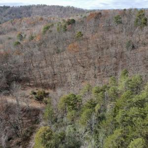 Photo #8 of SOLD property in Off Foley Road, Stuart, VA 6.3 acres