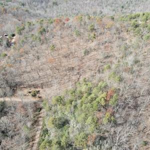 Photo #9 of SOLD property in Off Foley Road, Stuart, VA 6.3 acres