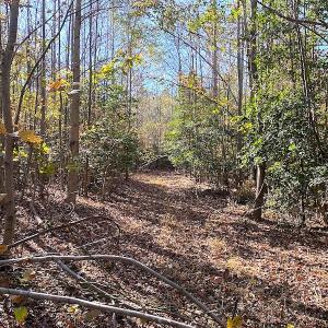 Photo #23 of SOLD property in 3077 Carolina Road, Suffolk, VA 22.0 acres