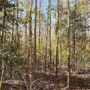 Photo #24 of SOLD property in 3077 Carolina Road, Suffolk, VA 22.0 acres