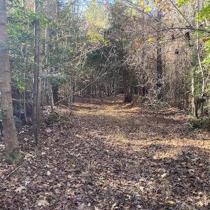 Photo #25 of SOLD property in 3077 Carolina Road, Suffolk, VA 22.0 acres