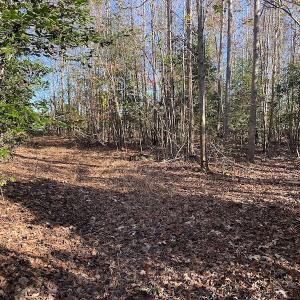 Photo #26 of SOLD property in 3077 Carolina Road, Suffolk, VA 22.0 acres