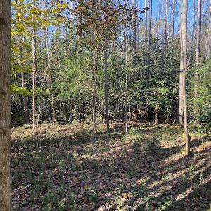 Photo #28 of SOLD property in 3077 Carolina Road, Suffolk, VA 22.0 acres