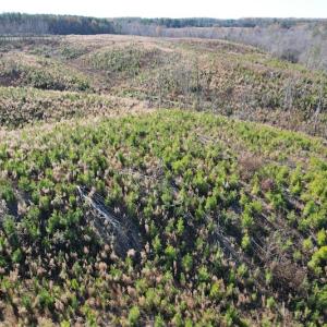 Photo #9 of SOLD property in Off Bunker Hill Road, Heathsville, VA 93.8 acres