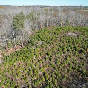 Photo #10 of SOLD property in Off Bunker Hill Road, Heathsville, VA 93.8 acres