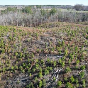 Photo #11 of SOLD property in Off Bunker Hill Road, Heathsville, VA 93.8 acres