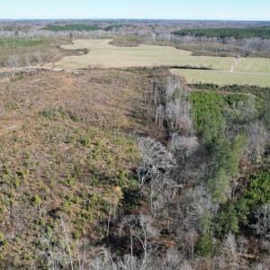 Photo #12 of SOLD property in Off Bunker Hill Road, Heathsville, VA 93.8 acres
