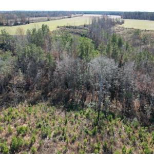 Photo #13 of SOLD property in Off Bunker Hill Road, Heathsville, VA 93.8 acres