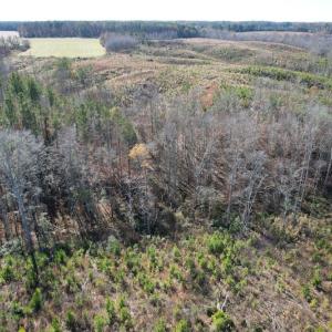 Photo #14 of SOLD property in Off Bunker Hill Road, Heathsville, VA 93.8 acres