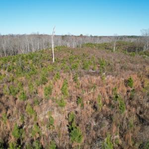 Photo #15 of SOLD property in Off Bunker Hill Road, Heathsville, VA 93.8 acres