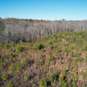 Photo #16 of SOLD property in Off Bunker Hill Road, Heathsville, VA 93.8 acres