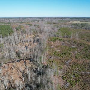 Photo #18 of SOLD property in Off Bunker Hill Road, Heathsville, VA 93.8 acres