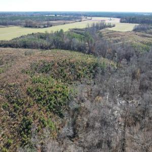 Photo #20 of SOLD property in Off Bunker Hill Road, Heathsville, VA 93.8 acres