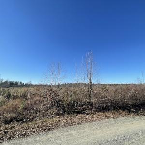 Photo #21 of SOLD property in Off Bunker Hill Road, Heathsville, VA 93.8 acres