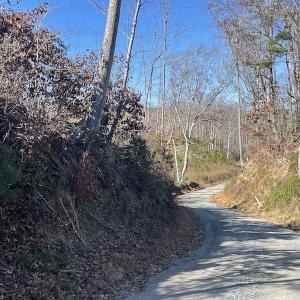 Photo #23 of SOLD property in Off Bunker Hill Road, Heathsville, VA 93.8 acres