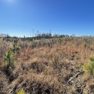 Photo #25 of SOLD property in Off Bunker Hill Road, Heathsville, VA 93.8 acres