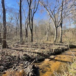 Photo #31 of SOLD property in Off Bunker Hill Road, Heathsville, VA 93.8 acres