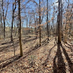 Photo #32 of SOLD property in Off Bunker Hill Road, Heathsville, VA 93.8 acres