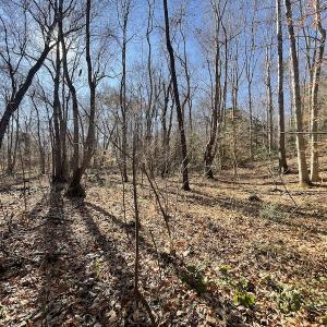 Photo #33 of SOLD property in Off Bunker Hill Road, Heathsville, VA 93.8 acres