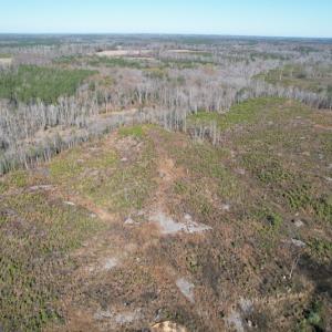 Photo #4 of SOLD property in Off Bunker Hill Road, Heathsville, VA 93.8 acres
