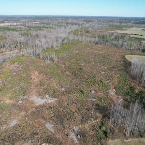 Photo #5 of SOLD property in Off Bunker Hill Road, Heathsville, VA 93.8 acres