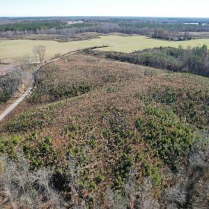 Photo #6 of SOLD property in Off Bunker Hill Road, Heathsville, VA 93.8 acres