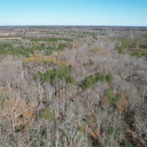 Photo #8 of SOLD property in Off Bunker Hill Road, Heathsville, VA 93.8 acres