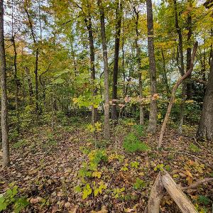Photo #9 of SOLD property in 5511 Rainbow Street, McLeansville, NC 0.4 acres