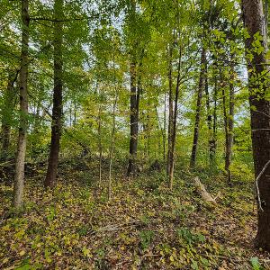 Photo #10 of SOLD property in 5511 Rainbow Street, McLeansville, NC 0.4 acres