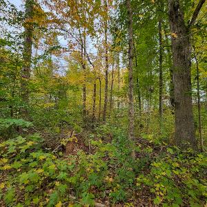 Photo #12 of SOLD property in 5511 Rainbow Street, McLeansville, NC 0.4 acres