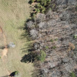 Photo #15 of SOLD property in 3168 Old Mill Road, Patrick Springs, VA 136.5 acres