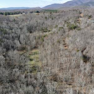 Photo #18 of SOLD property in 3168 Old Mill Road, Patrick Springs, VA 136.5 acres