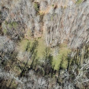 Photo #19 of SOLD property in 3168 Old Mill Road, Patrick Springs, VA 136.5 acres