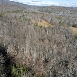Photo #23 of SOLD property in 3168 Old Mill Road, Patrick Springs, VA 136.5 acres