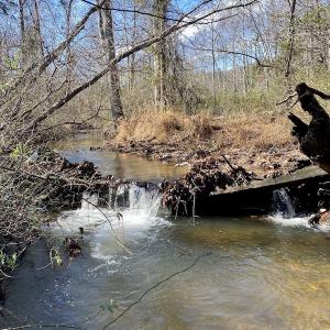 Photo #29 of SOLD property in 3168 Old Mill Road, Patrick Springs, VA 136.5 acres