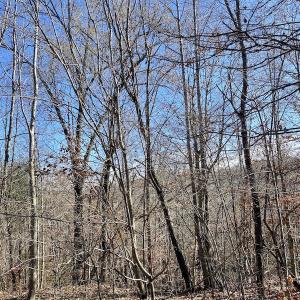Photo #32 of SOLD property in 3168 Old Mill Road, Patrick Springs, VA 136.5 acres