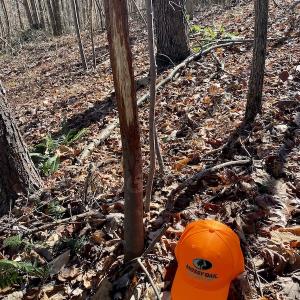 Photo #34 of SOLD property in 3168 Old Mill Road, Patrick Springs, VA 136.5 acres