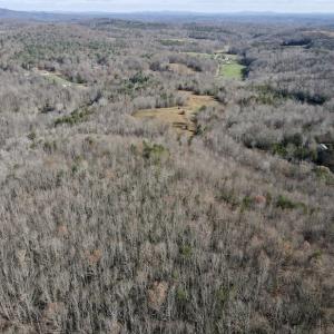 Photo #8 of SOLD property in 3168 Old Mill Road, Patrick Springs, VA 136.5 acres