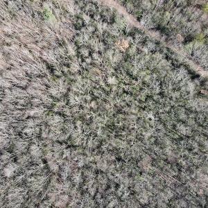 Photo #9 of SOLD property in 3168 Old Mill Road, Patrick Springs, VA 136.5 acres