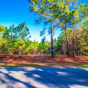 Photo #9 of SOLD property in Off Old Land Fill Road, Vanceboro, NC 15.3 acres