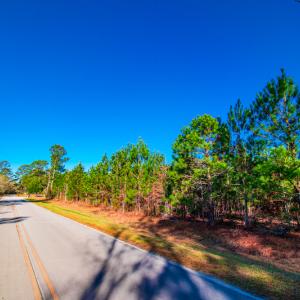 Photo #10 of SOLD property in Off Old Land Fill Road, Vanceboro, NC 15.3 acres