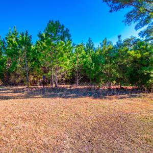Photo #15 of SOLD property in Off Old Land Fill Road, Vanceboro, NC 15.3 acres