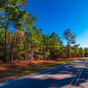 Photo #8 of SOLD property in Off Old Land Fill Road, Vanceboro, NC 15.3 acres