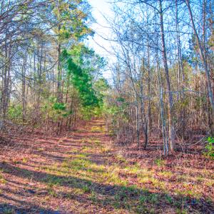 Photo #11 of SOLD property in Off Old Land Fill Road, Vanceboro, NC 15.3 acres