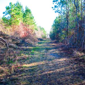Photo #13 of SOLD property in Off Old Land Fill Road, Vanceboro, NC 15.3 acres