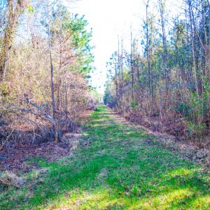 Photo #15 of SOLD property in Off Old Land Fill Road, Vanceboro, NC 15.3 acres