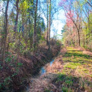 Photo #18 of SOLD property in Off Old Land Fill Road, Vanceboro, NC 15.3 acres